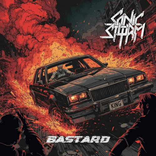 Sonic Storm : Bastard